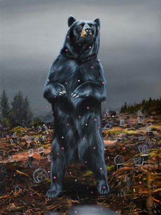 Black Bear