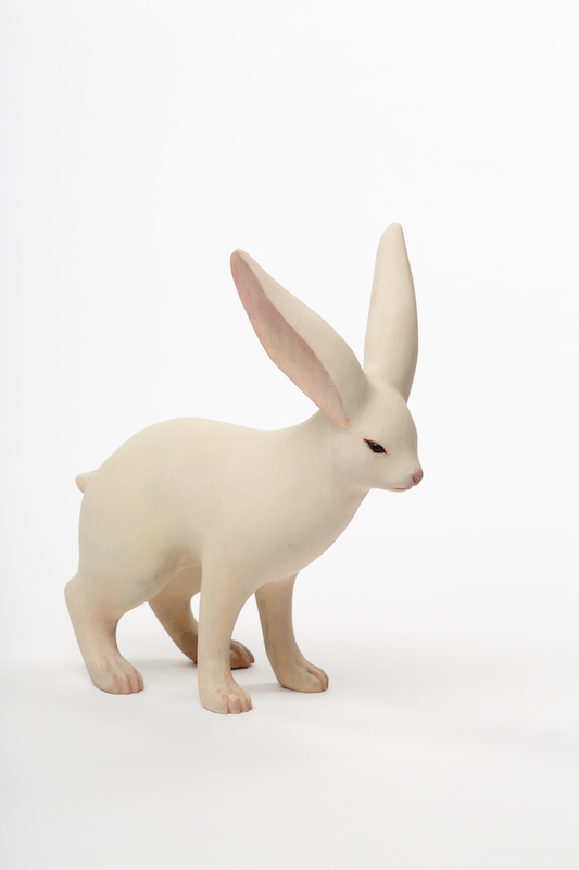 Rabbit