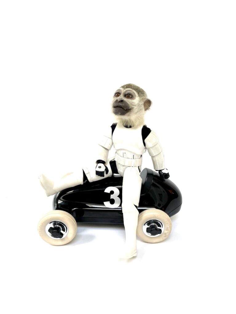 Maniaque de la Vitesse
