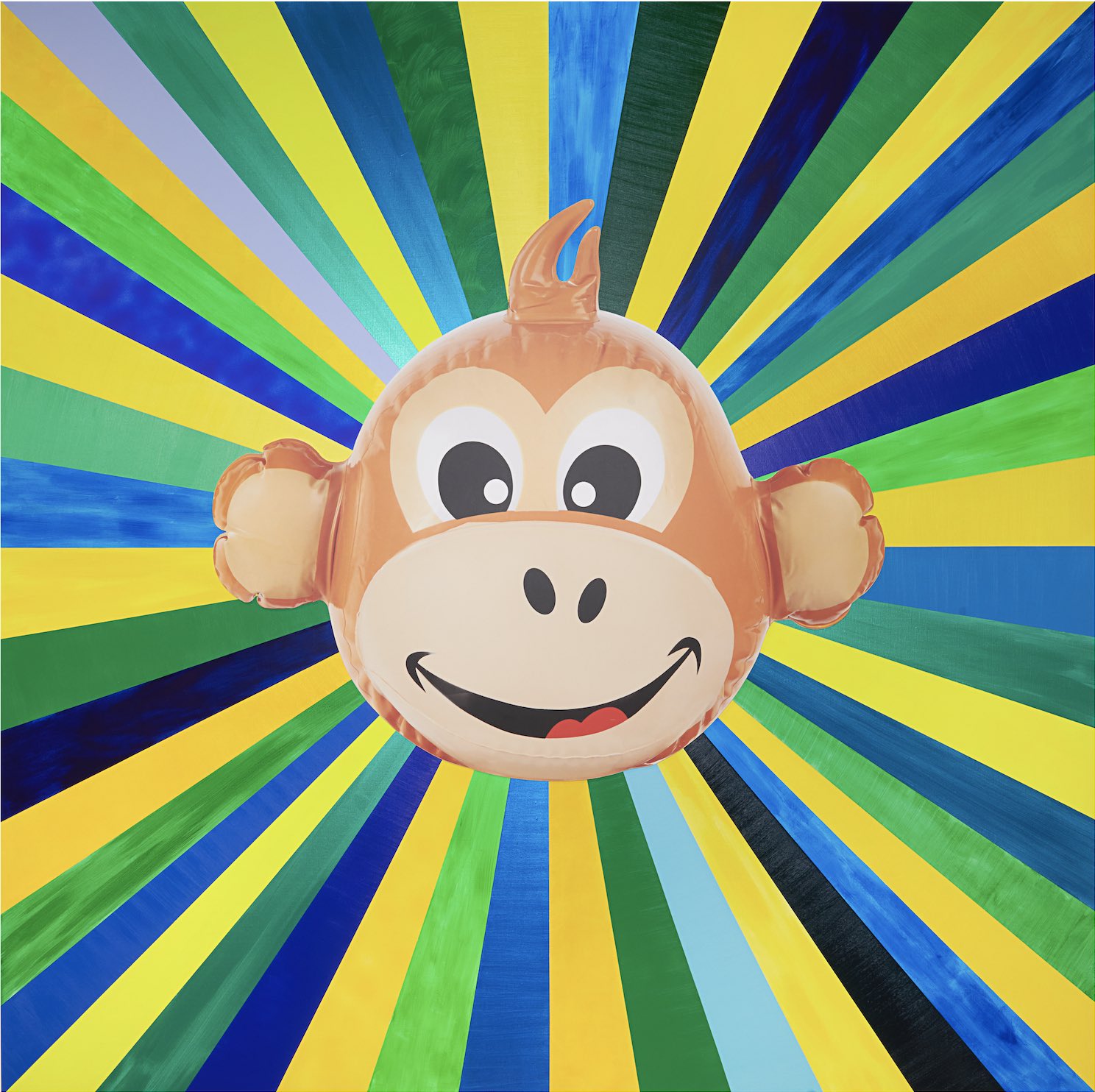 Monkey Trip